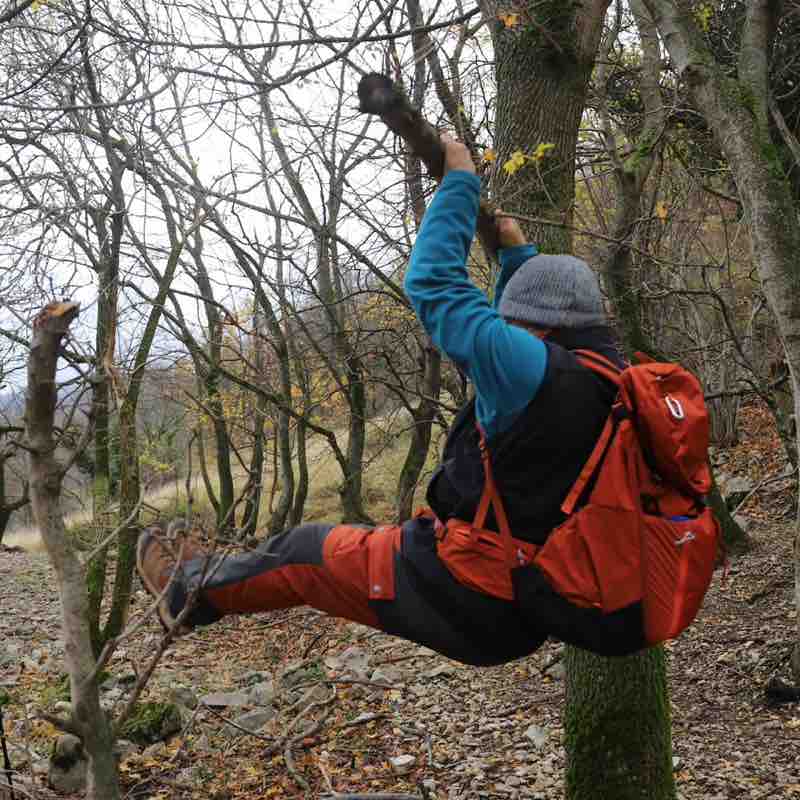 Os peregrinos Stefano post image