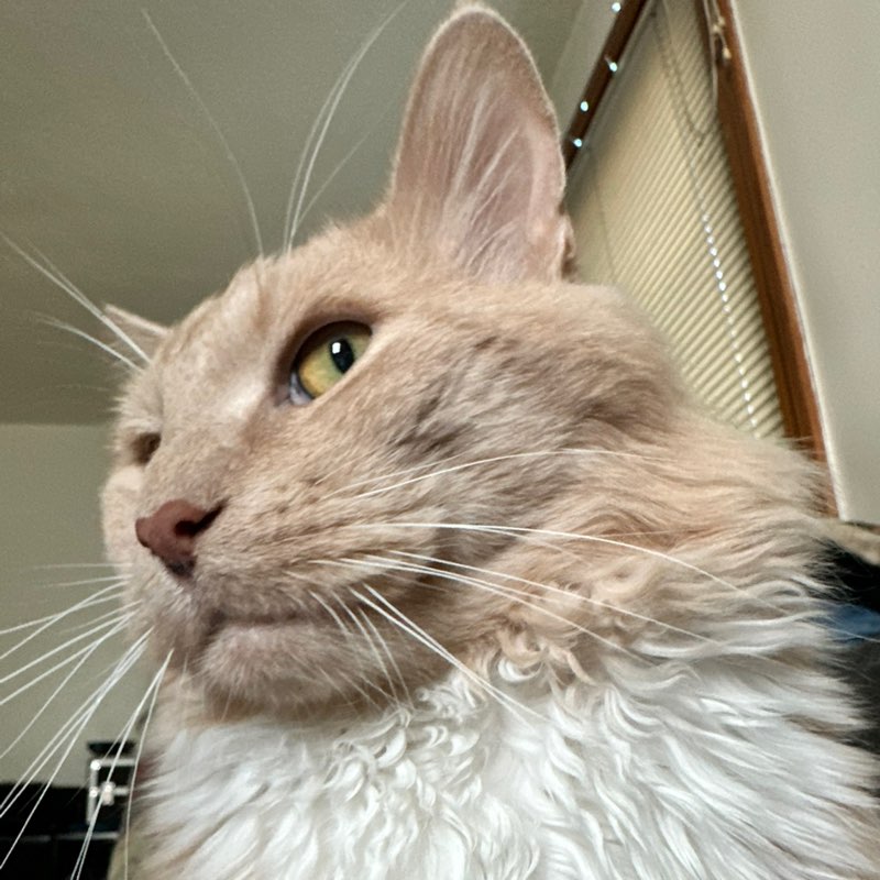 Greedy profile