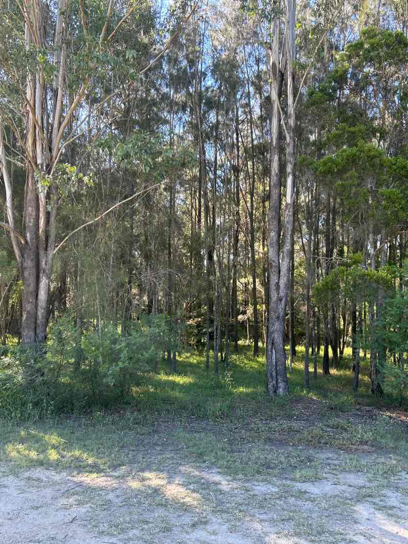 walking near me in Parramatta Park in autumn