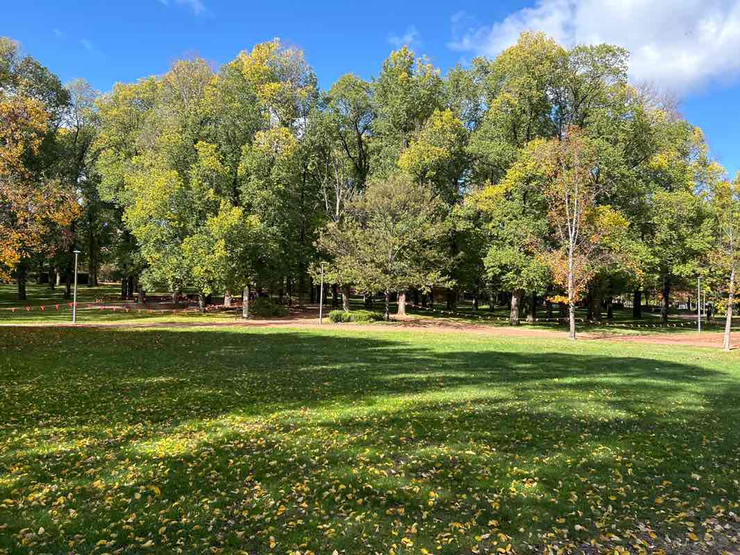 walking near me in Glebe Park in autumn
