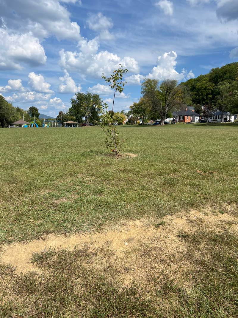 walking near me in Kiwani's Park in autumn
