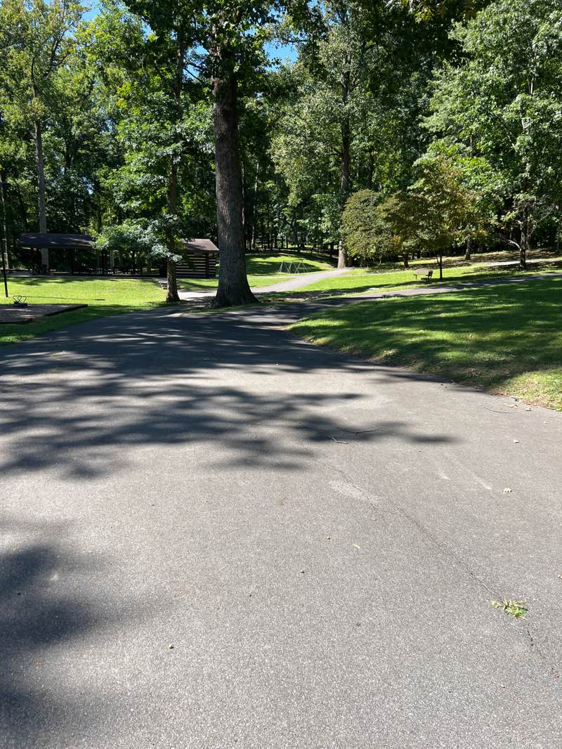 walking near me in Rotary Park in autumn