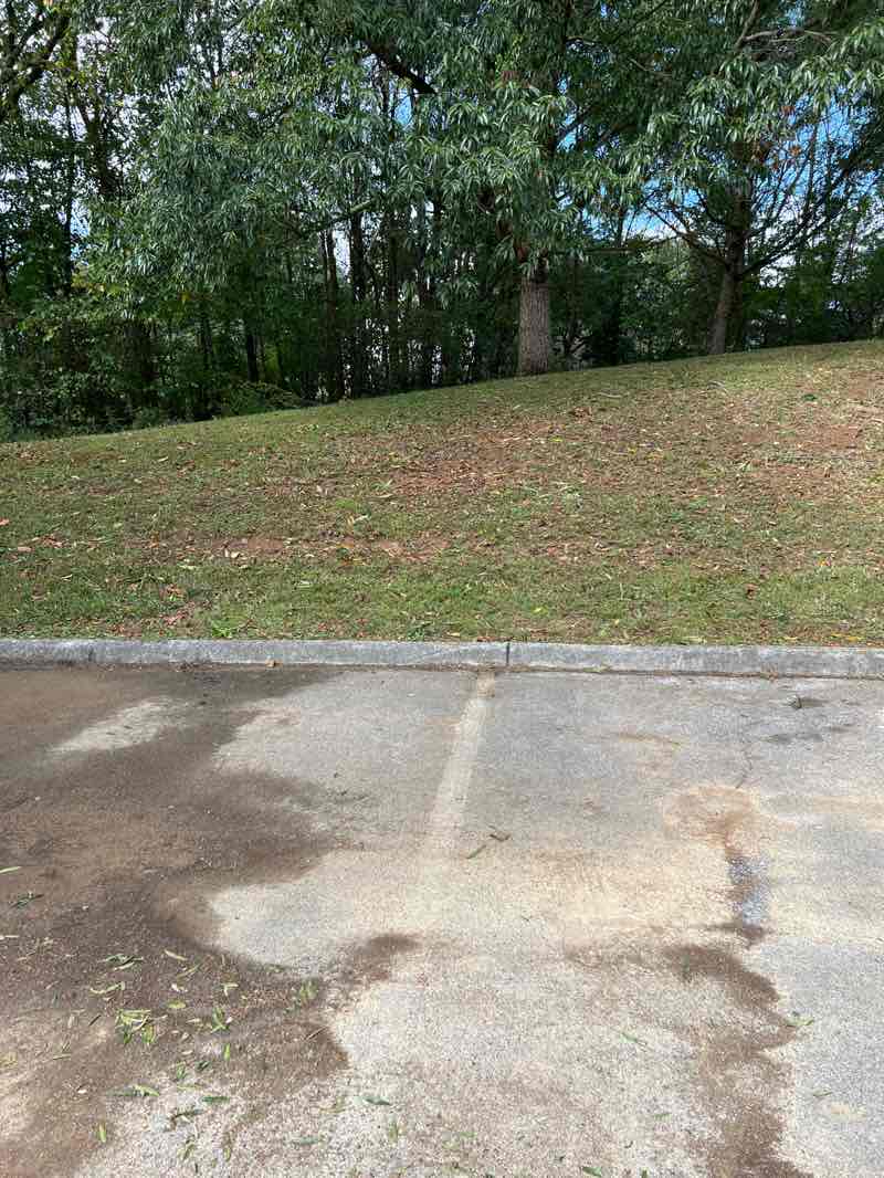 walking near me in Willow Springs Park in autumn