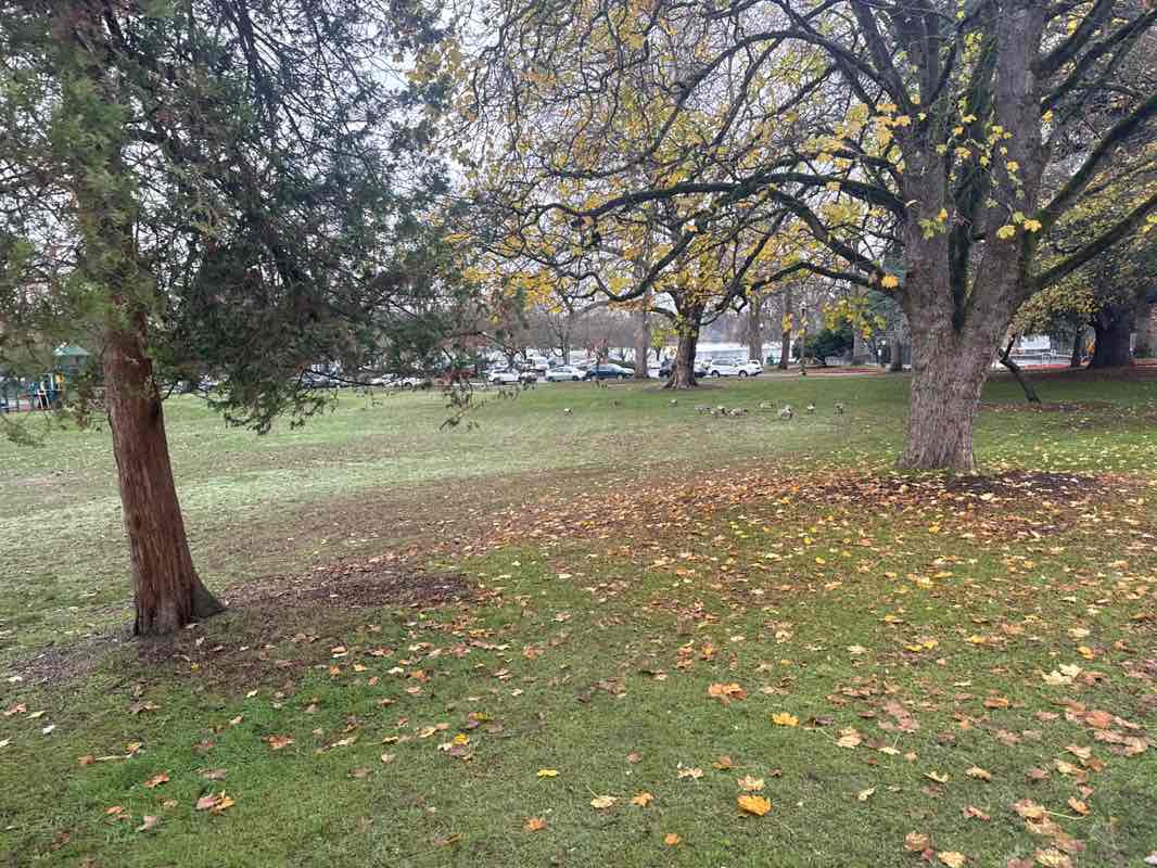 walking near me in Green Lake Park in autumn