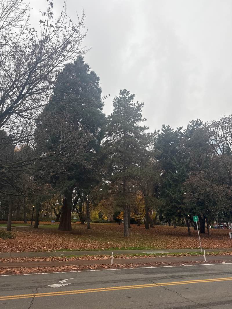 walking near me in Denny Park in autumn