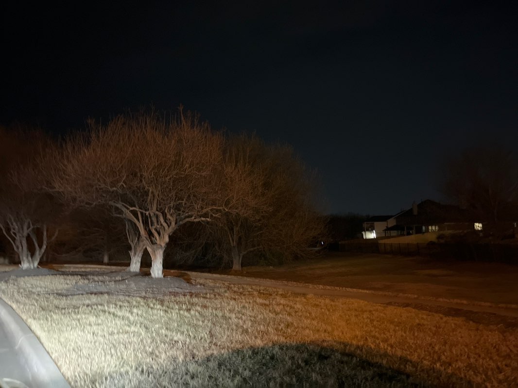 walking near me in Secluded Willow Park in winter
