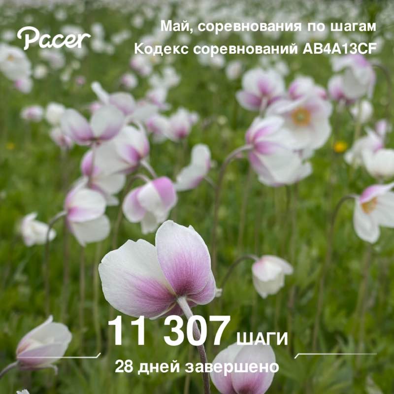 🕊️Tatyana🇷🇺 post 1