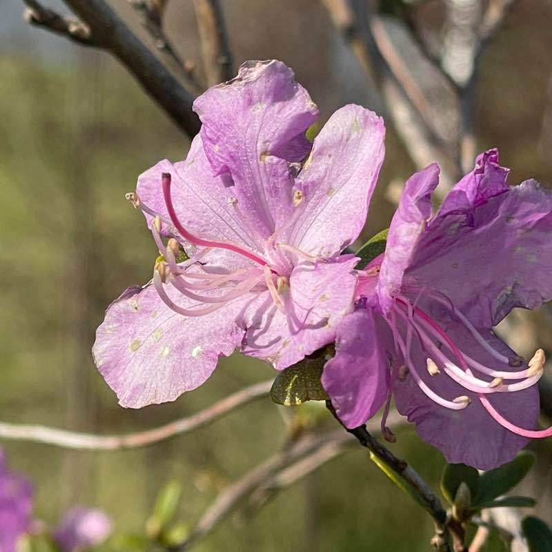 🕊️Tatyana🇷🇺 post 3