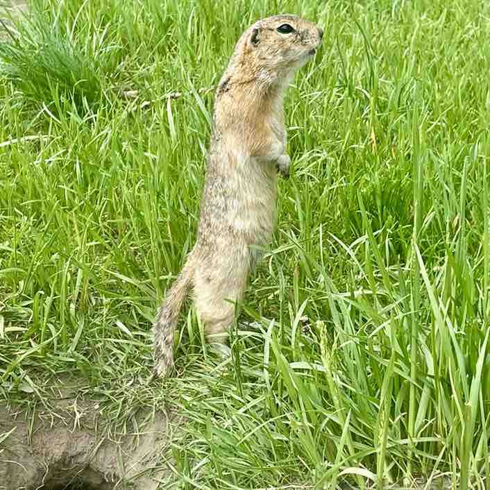 🕊️Tatyana🇷🇺 post 1