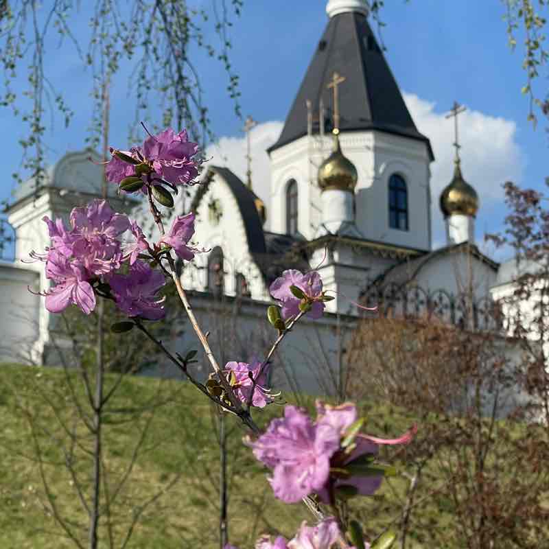 🕊️Tatyana🇷🇺 post 2