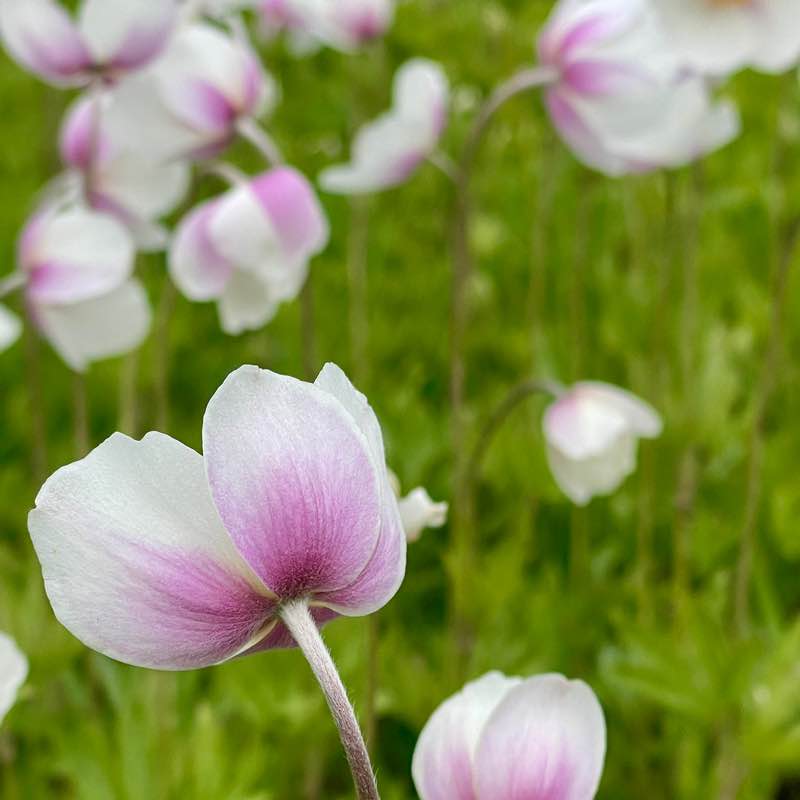 🕊️Tatyana🇷🇺 post 3