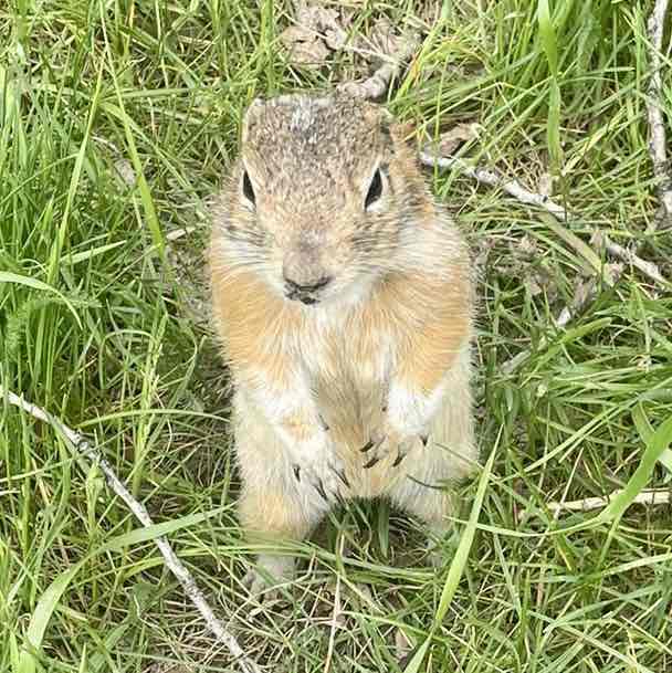 🕊️Tatyana🇷🇺 post 2