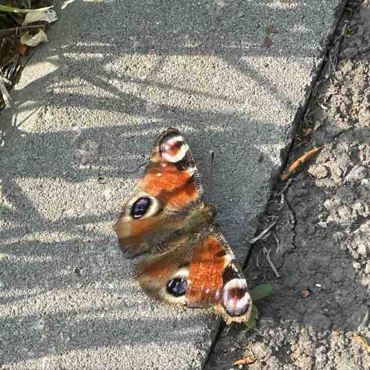 🕊️Tatyana🇷🇺 post 3