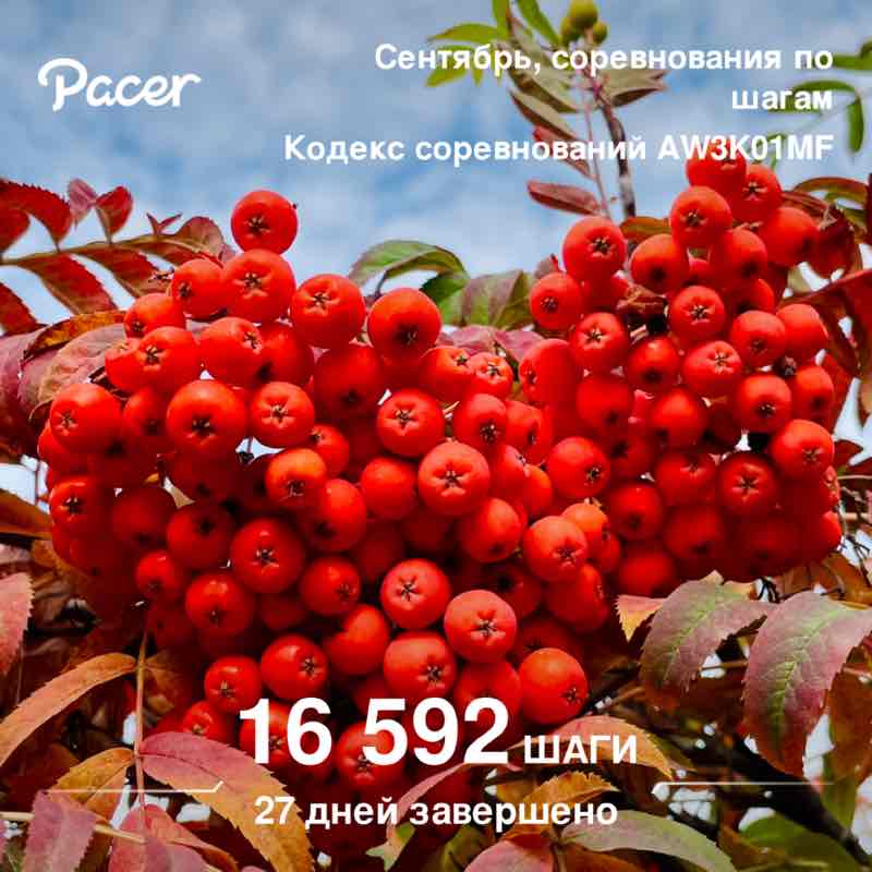 🕊️Tatyana🇷🇺 post 1