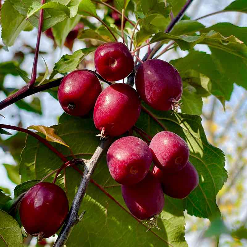 🕊️Tatyana🇷🇺 post 3