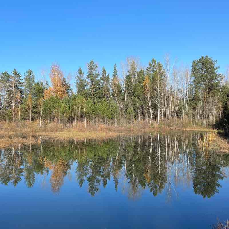 🕊️Tatyana🇷🇺 post 2