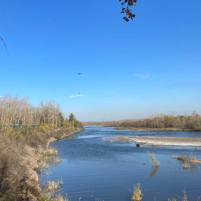 🕊️Tatyana🇷🇺 post 3