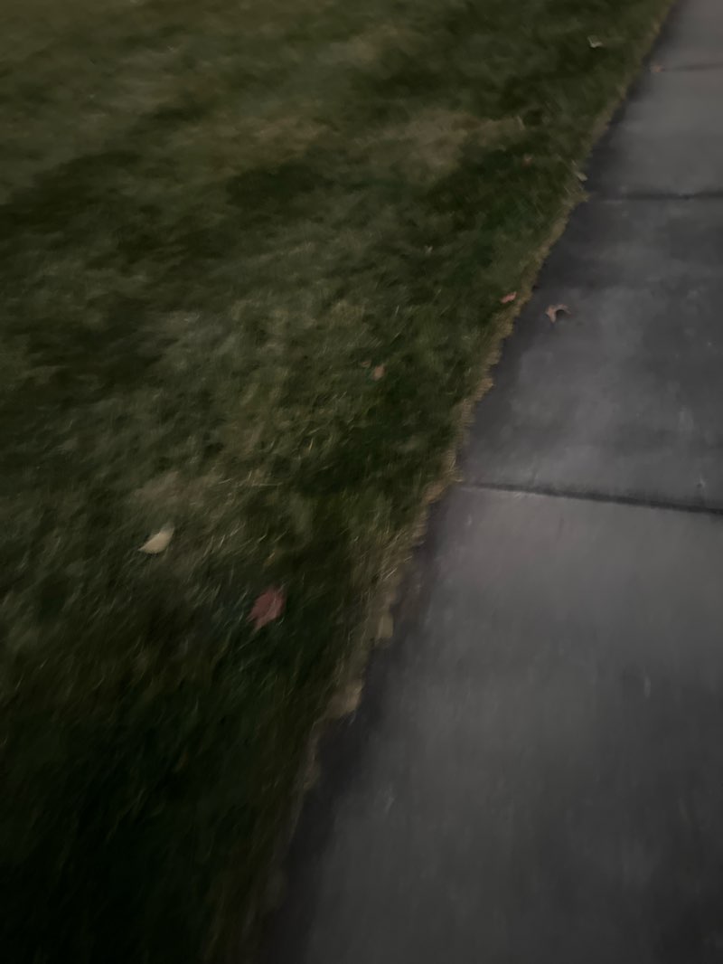 walking near me in Heritage Ponds Park in autumn