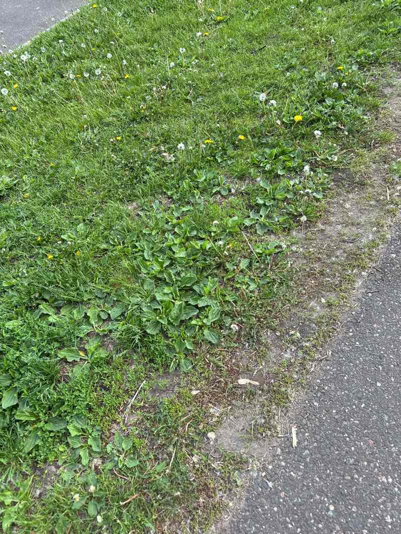 walking near me in White Bear Lake County Park in summer