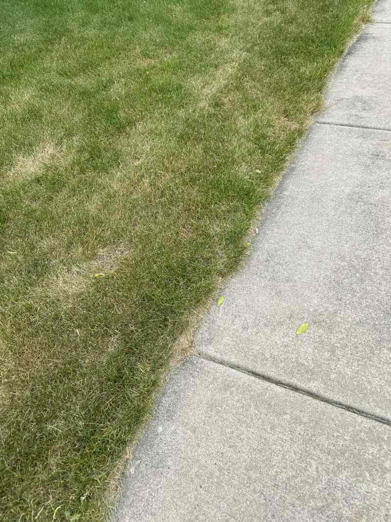 walking near me in Heritage Ponds Park in summer