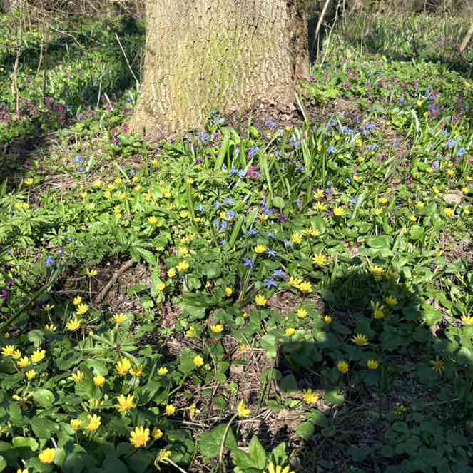 ПИК ПОБЕДЫ 🥇🏆🏔 Алексей post image