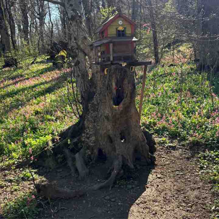 ПИК ПОБЕДЫ 🥇🏆🏔 Алексей post image