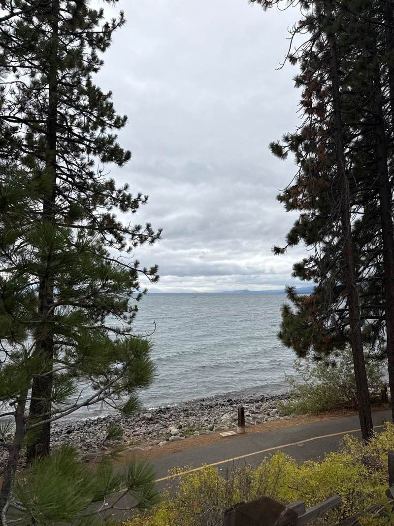 walking near me in Lake Tahoe Commons Beach in autumn