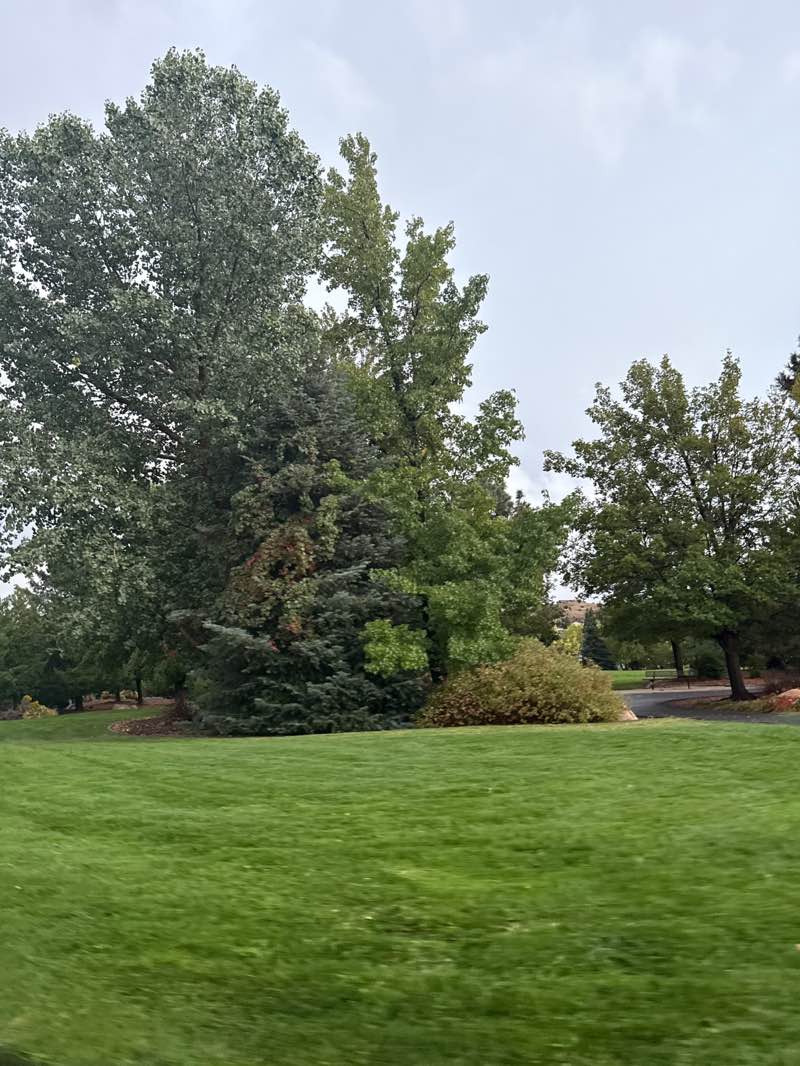 walking near me in Betsy Caughlin Donnelly Park in autumn