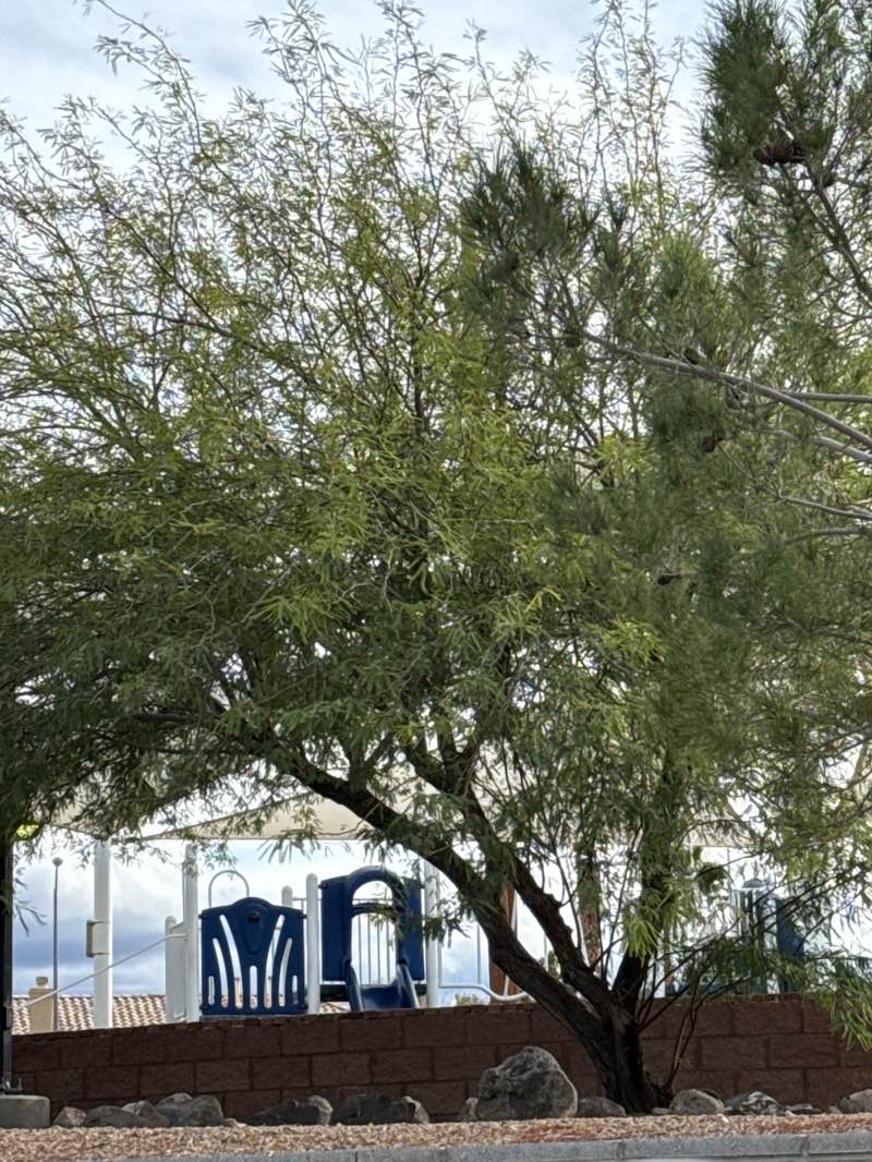 walking near me in Siena Heights Trailhead in autumn
