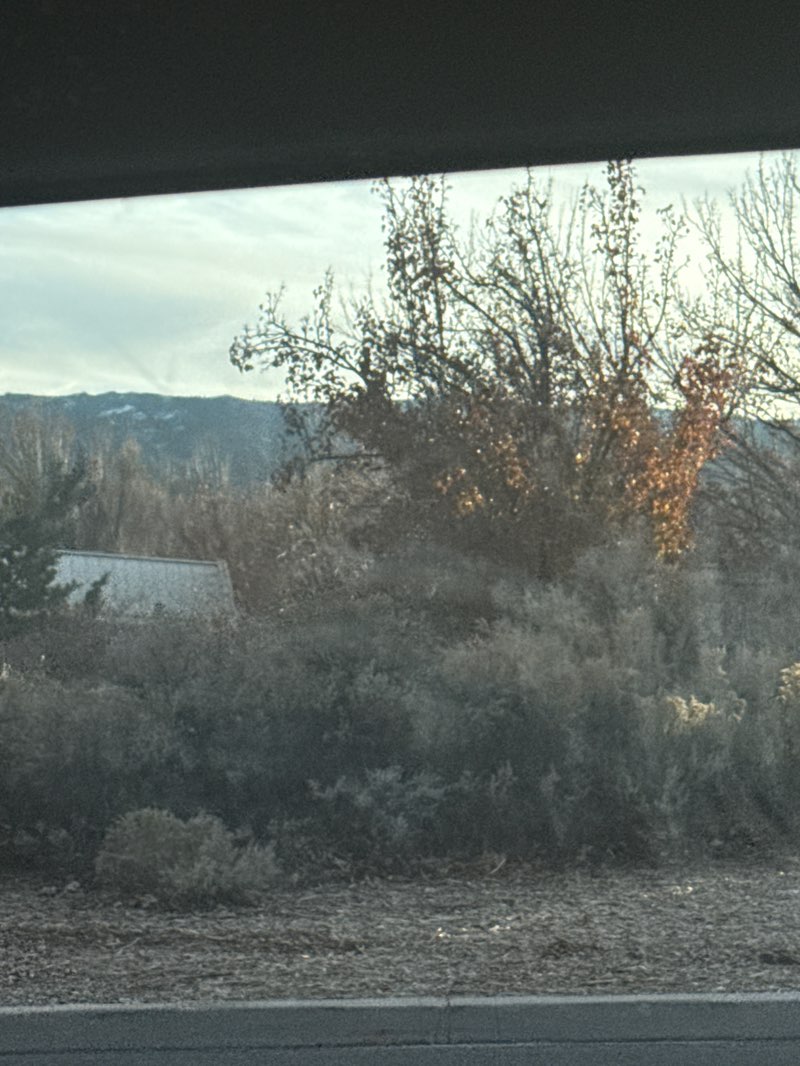 walking near me in Summit Ridge Park in winter