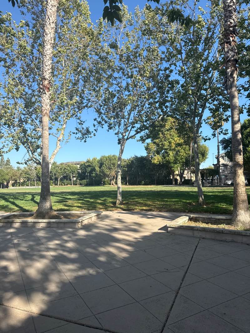 walking near me in Park Metro East Park in summer