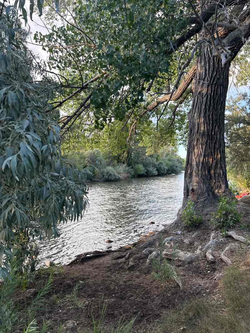 walking near me in Chrissie Caughlin Park in autumn