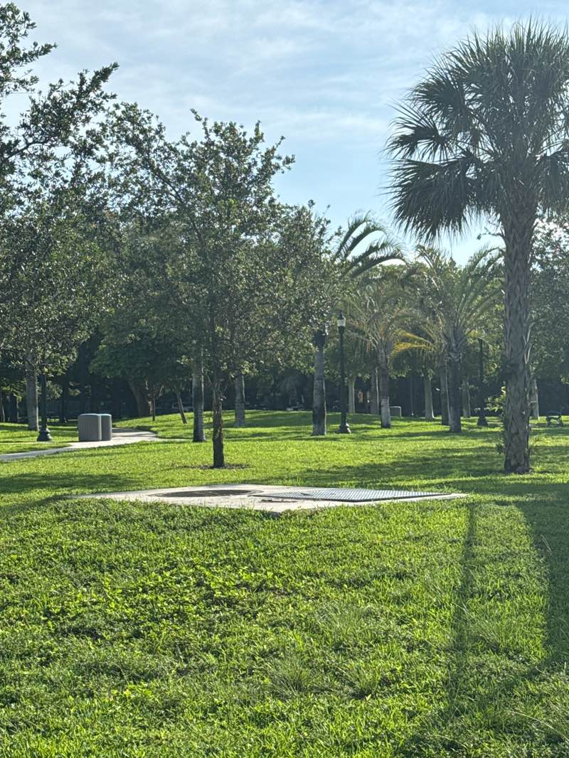 walking near me in Flamingo Park in summer