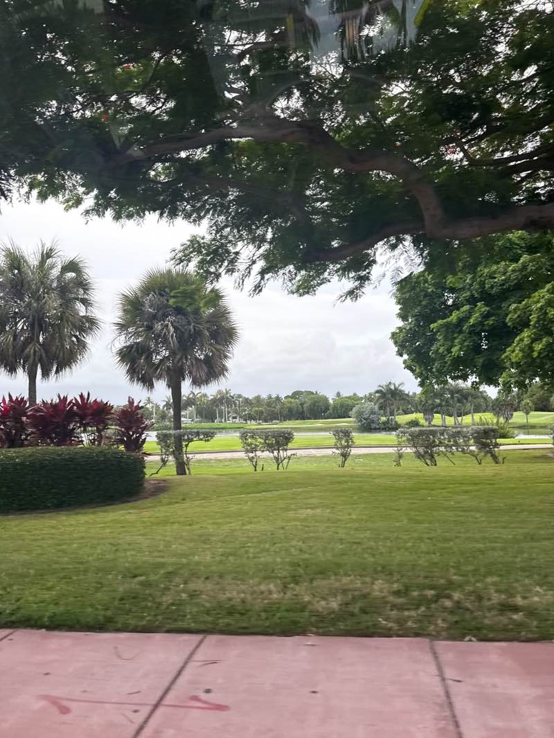 walking near me in Miami Beach Convention Center Park in summer