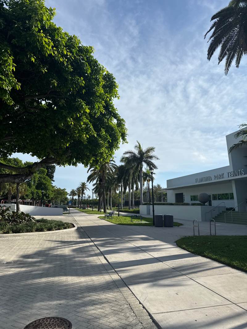 walking near me in Flamingo Park in summer