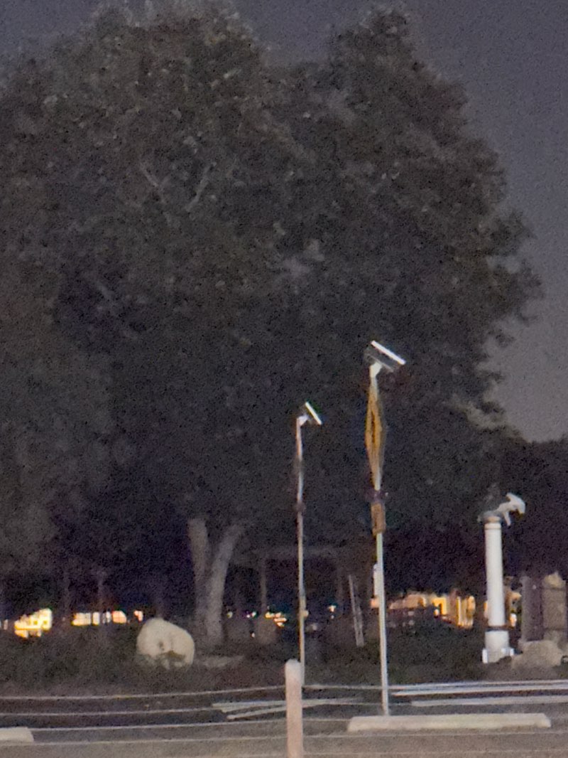 walking near me in Leucadia Oaks Park in autumn