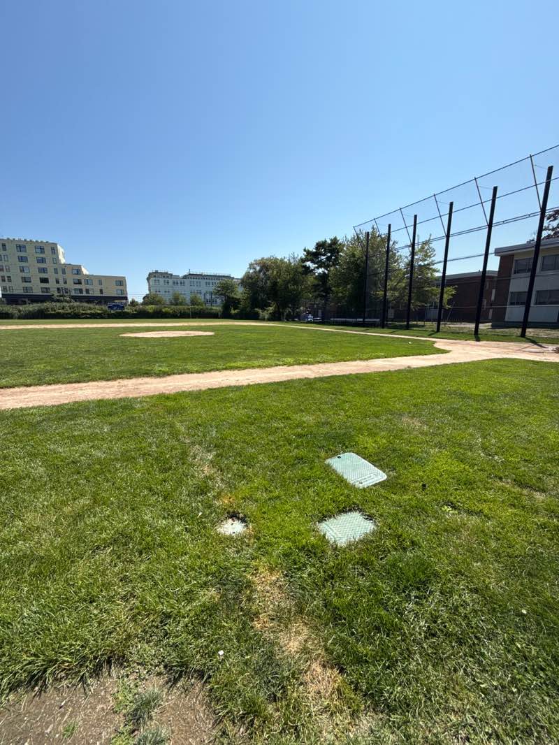 walking near me in Curtis Park in autumn