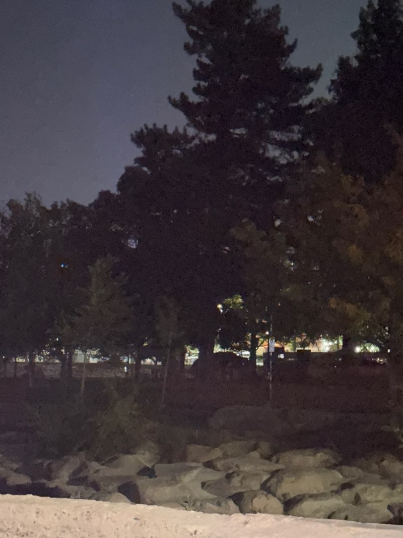 walking near me in Wingfield Park in autumn