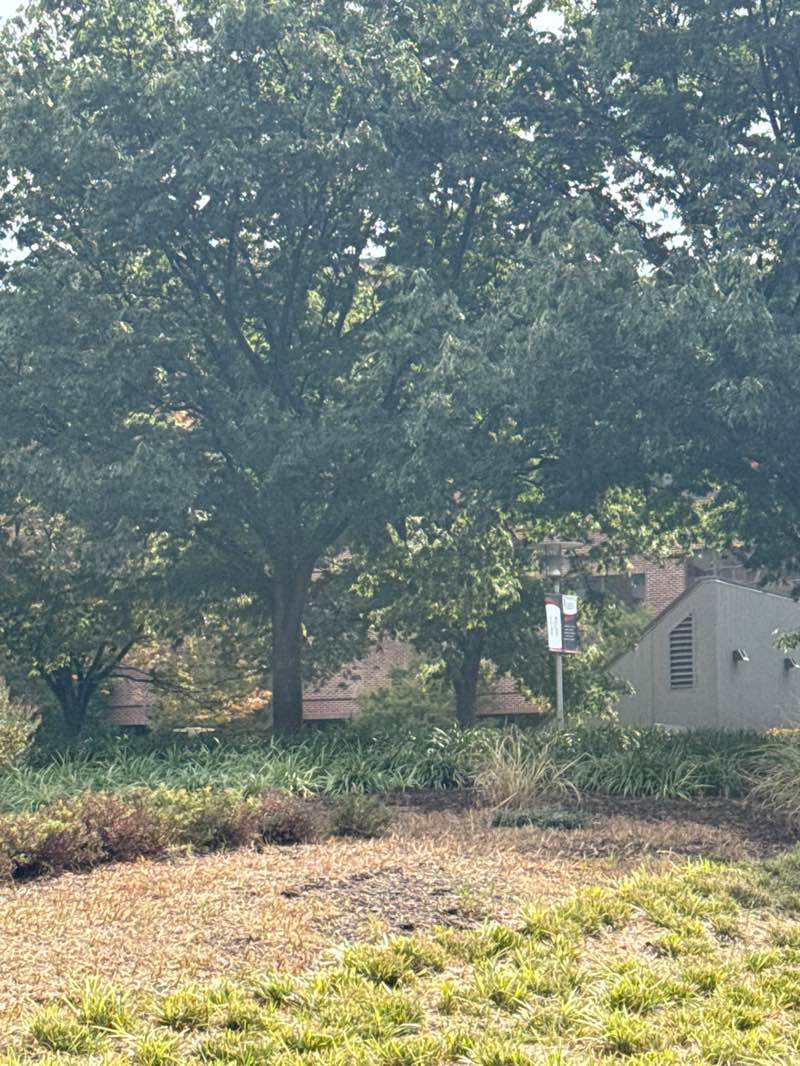 walking near me in University Square Park in autumn