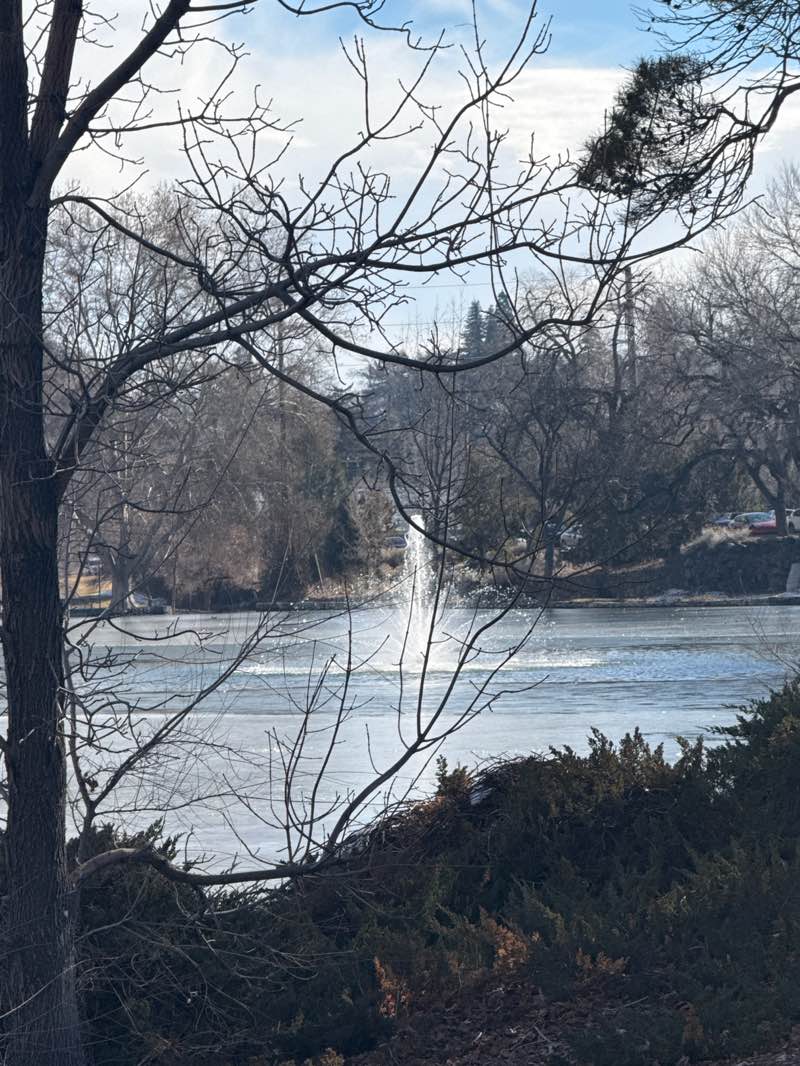 walking near me in Idlewild Park in winter