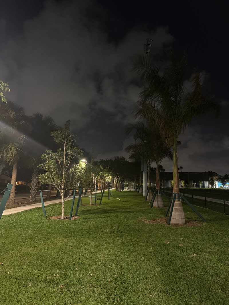 walking near me in CW Thomas Park in spring