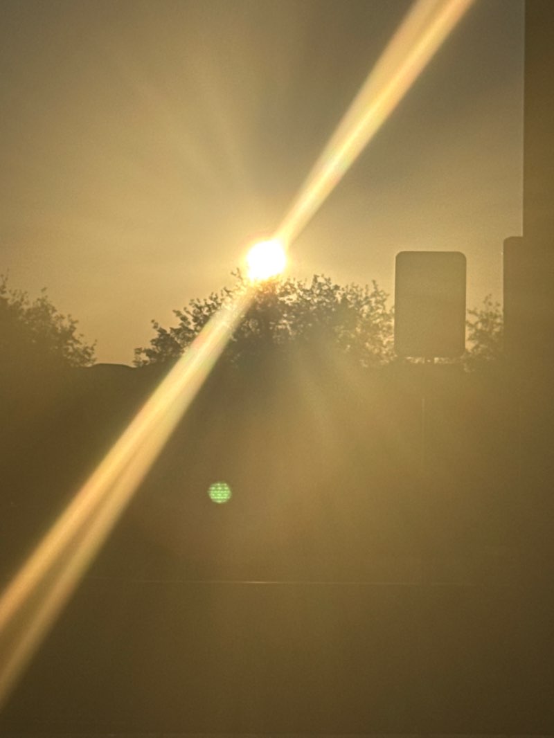 walking near me in Pioneer Park in spring