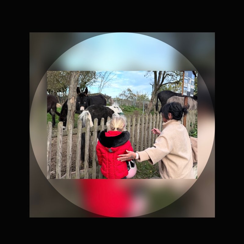 🤍🫧Susi🤍🫧 profile