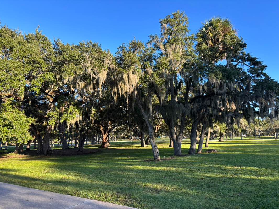 walking near me in Riverside North Park in autumn