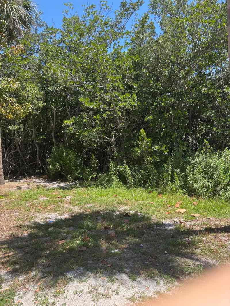 walking near me in Wabasso Causeway Park in spring