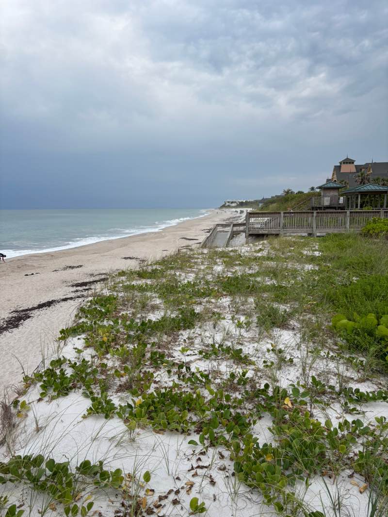 walking near me in Wabasso Beach Park in spring