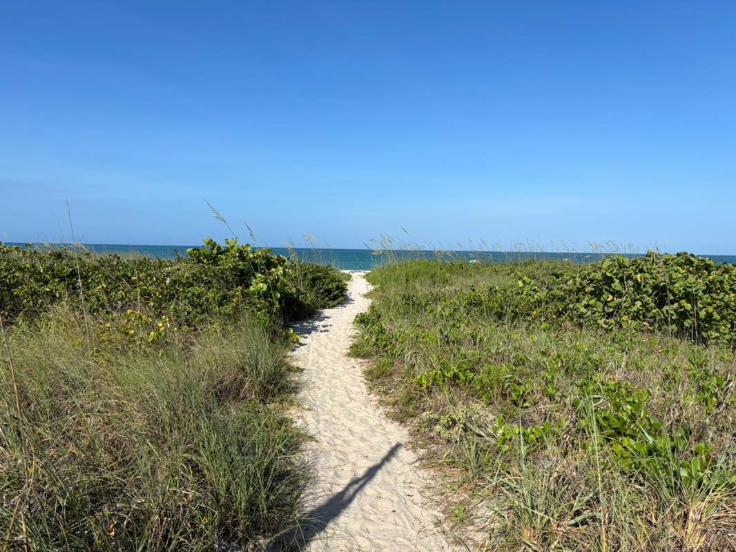 walking near me in Avalon State Park in spring