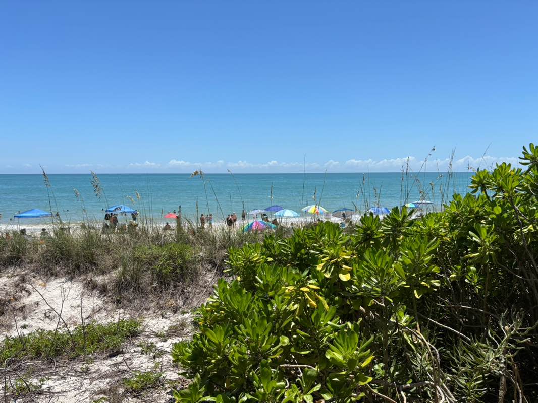 walking near me in Jaycee Park in autumn