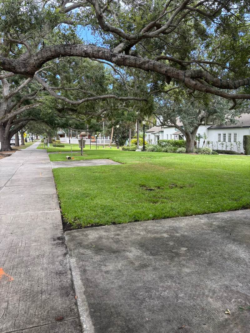 walking near me in Pocahontas Park in summer