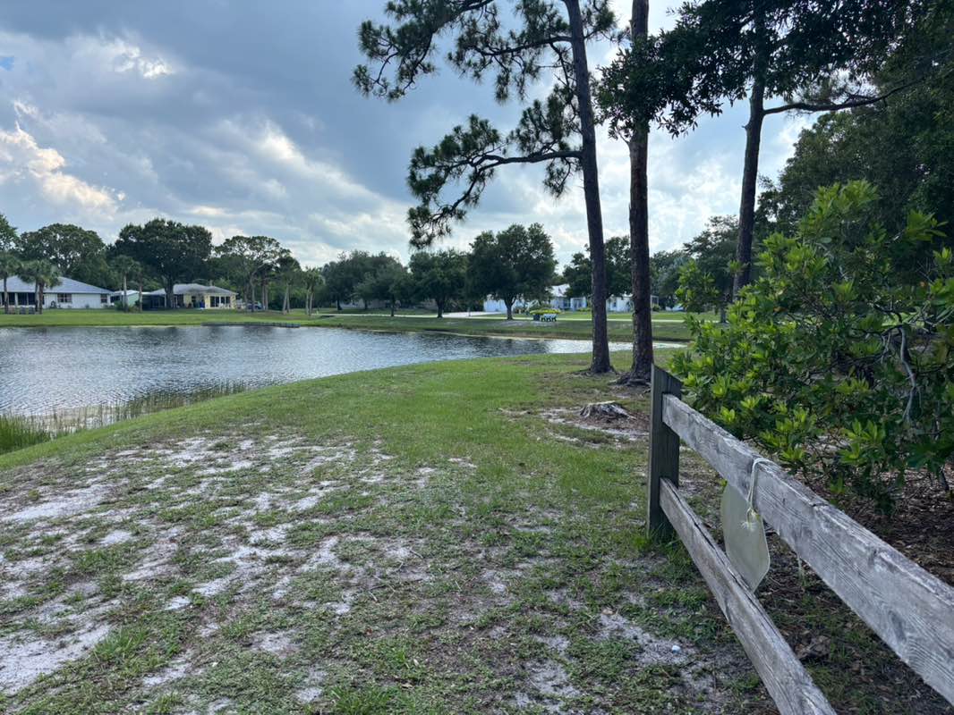 walking near me in Periwinkle Park in summer